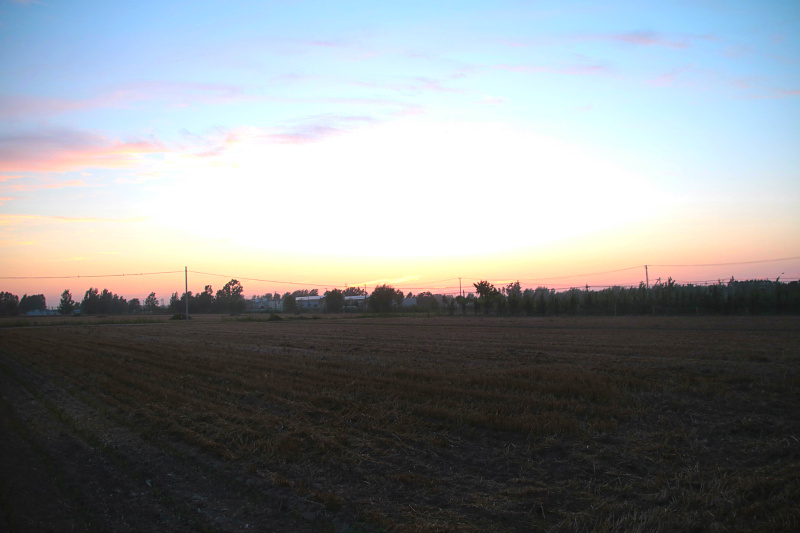 IMG_4570.jpg