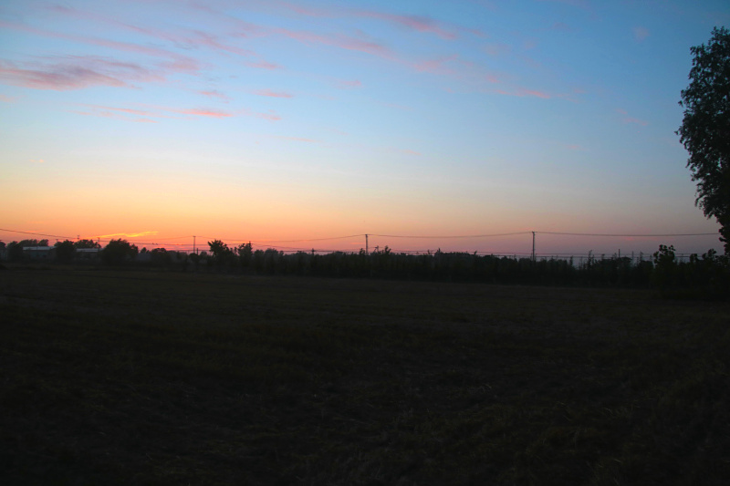 IMG_4572.jpg