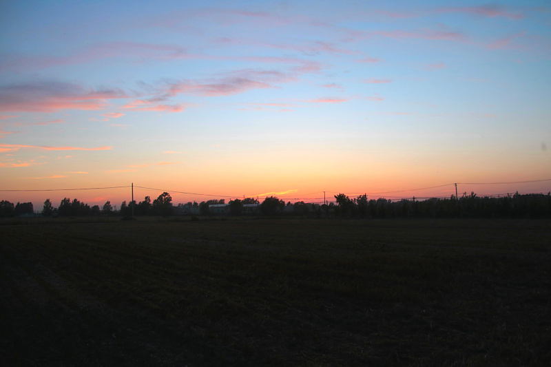 IMG_4573.jpg