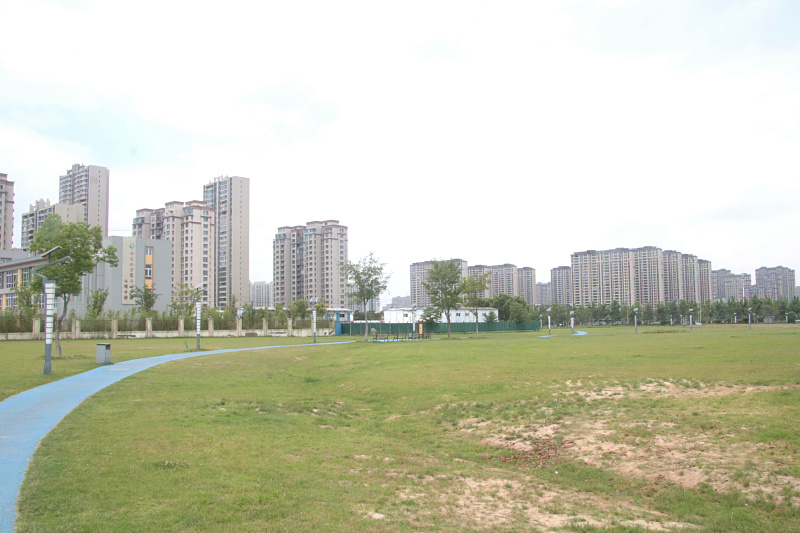 IMG_4617.jpg