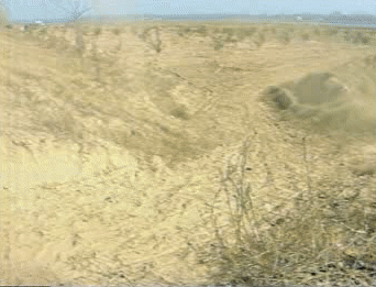 085300ggssrh2ytwsyiy23.gif