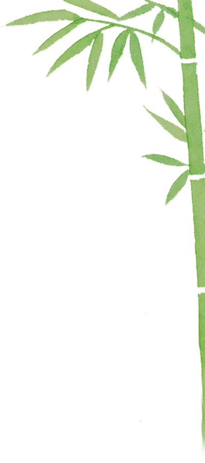 165020qazjskvqrsvwfqtn.png