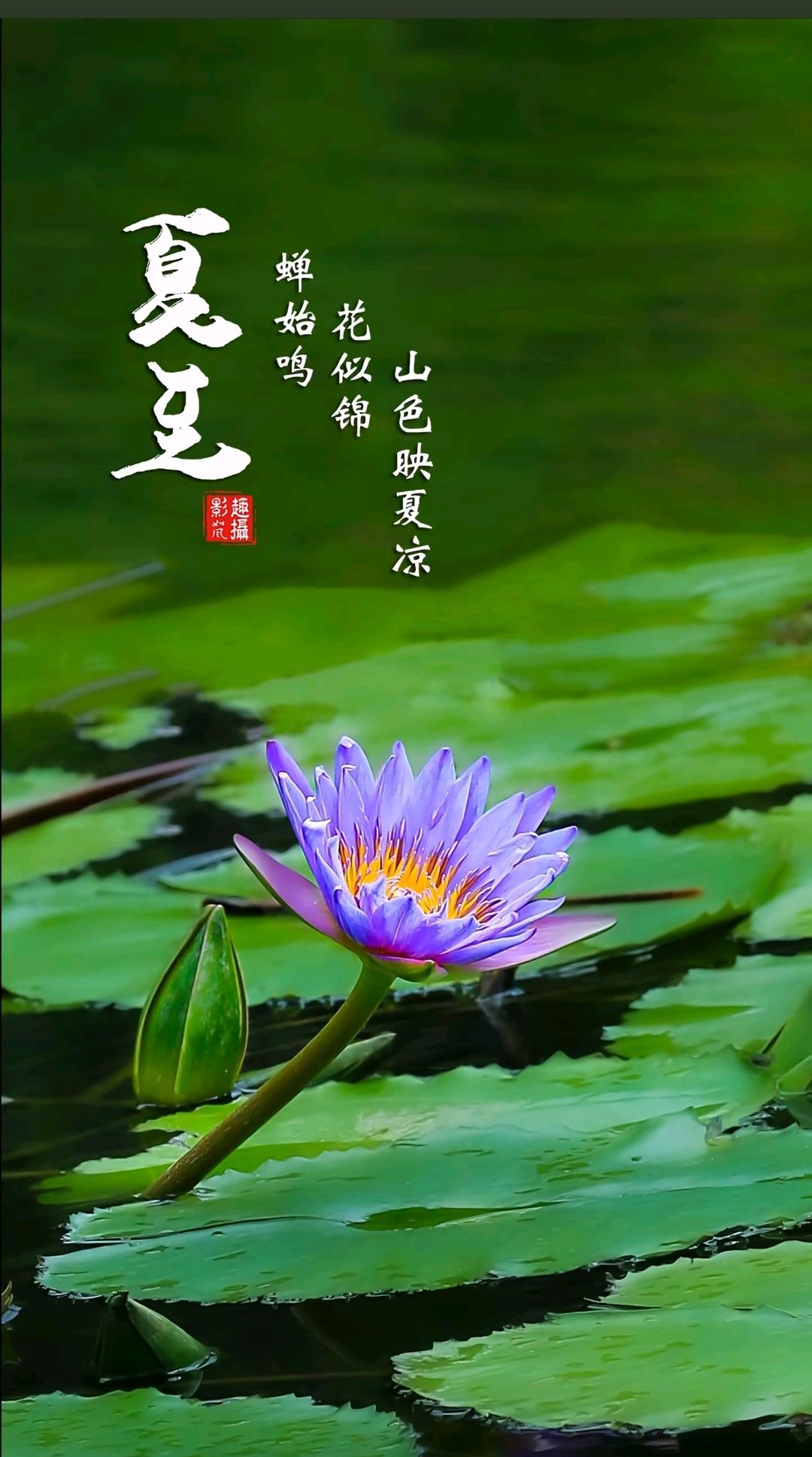 20260621135640front2_0_5867_Fgp4X4-PCXUaM4kneqY3fF_DKPVJ.jpg