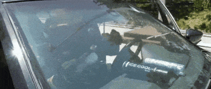 083706cztllln6i0l03003.gif