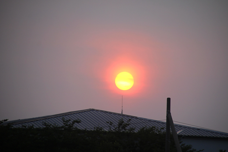 IMG_4992.jpg