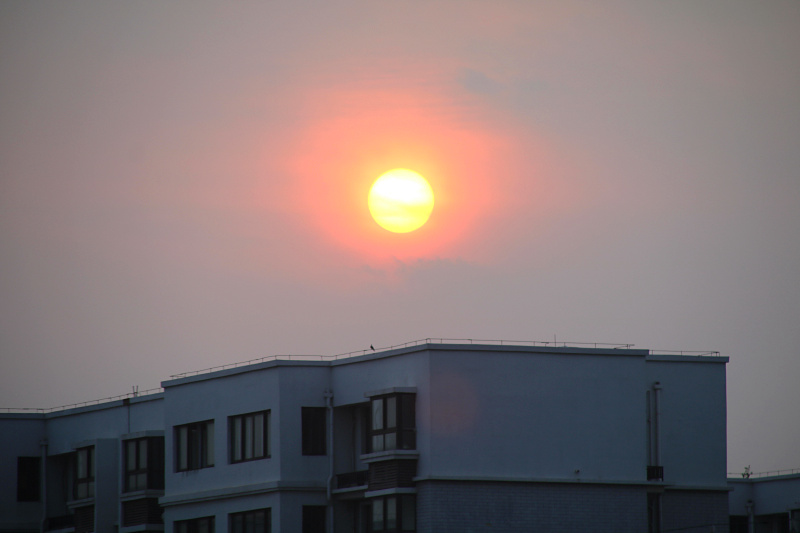 IMG_4985.jpg