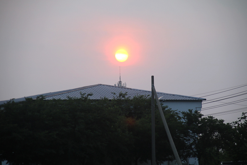IMG_4993.jpg