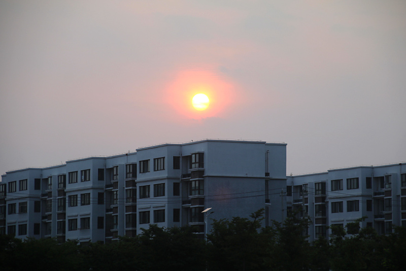 IMG_4986.jpg
