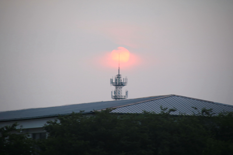 IMG_5003.jpg