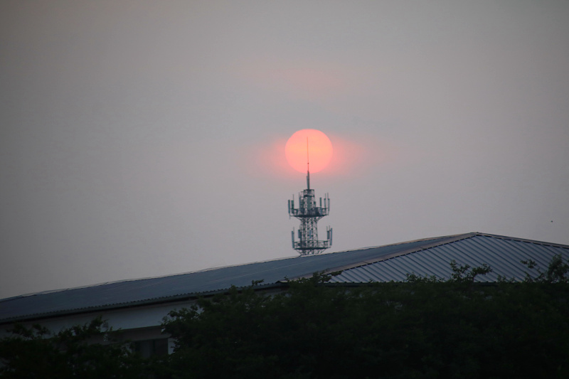 IMG_5005.jpg