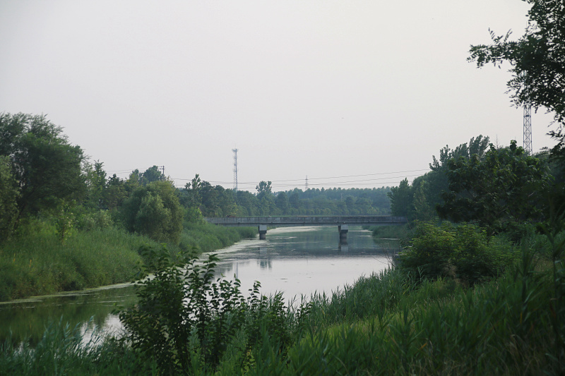 IMG_4925.jpg