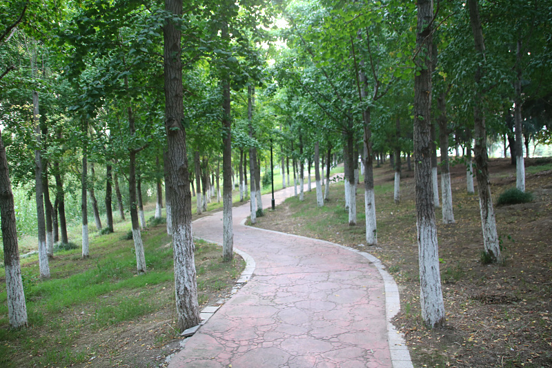 IMG_4947.jpg