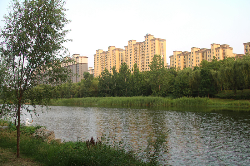 IMG_4950.jpg