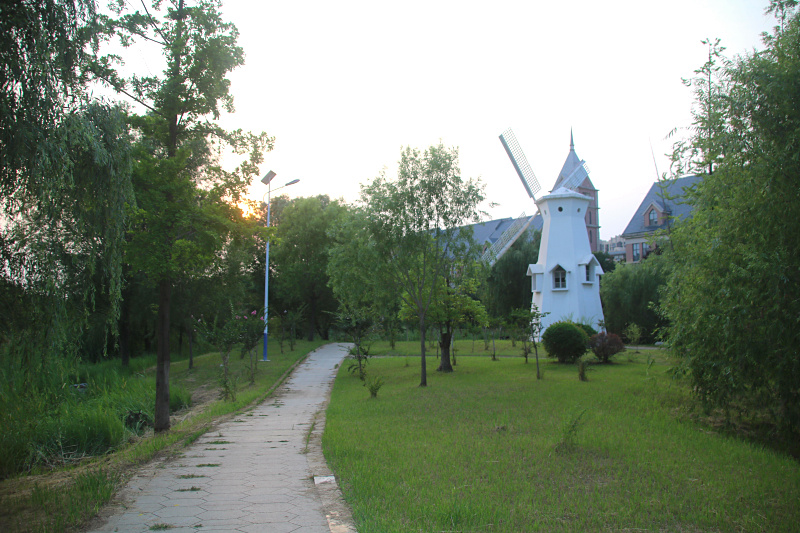 IMG_4971.jpg