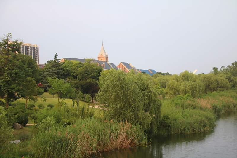 IMG_4976.jpg