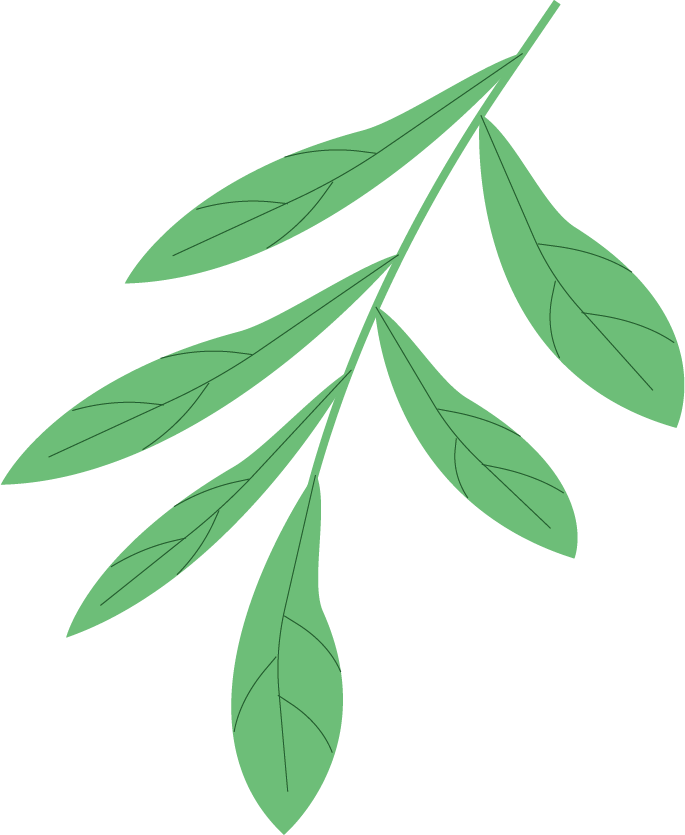 085751wms0ml06k41s41s4.png