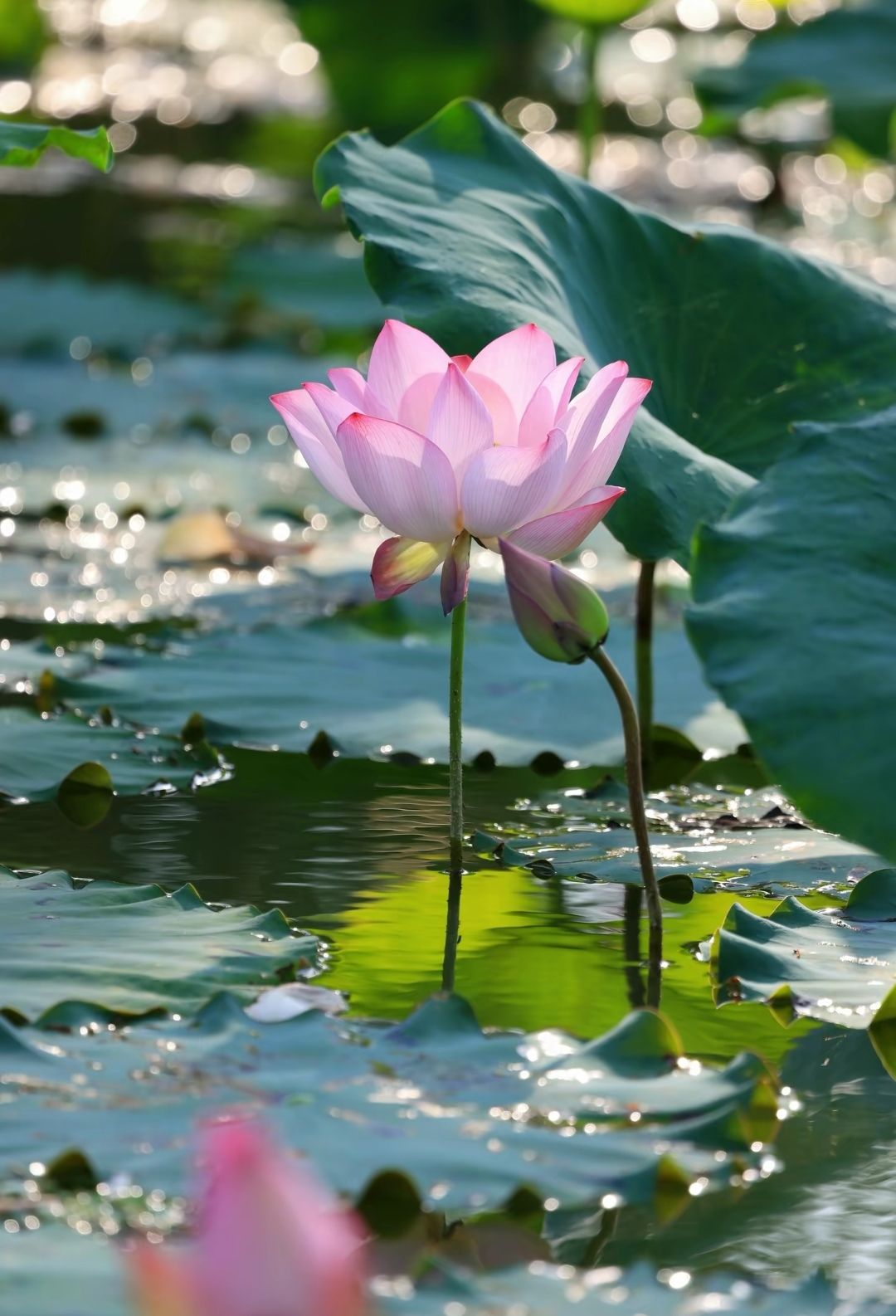 20260719174929front2_0_5867_Fm1eqaYmxUmZch0PZjTMMzj4xQVK.jpg