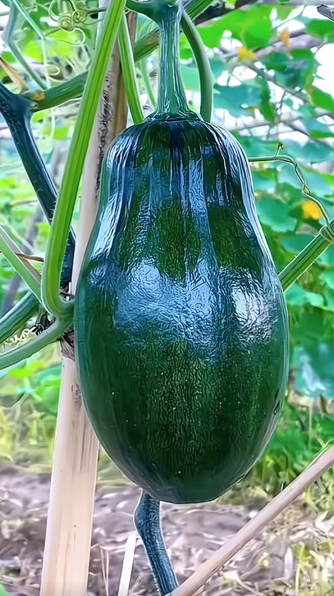20260726114044front2_0_5867_FhWHNYpqirkrUD1LV6B-5DXm1v9F.jpg