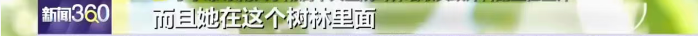 100853kynbbg8bfobybgbw.png