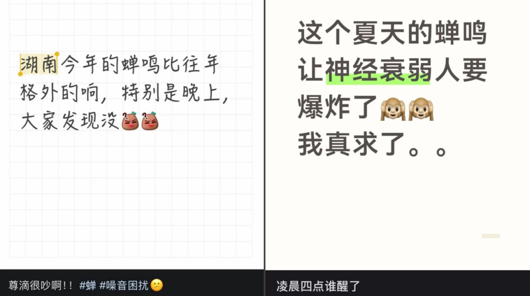 100853uxun0uqkzpc1rxxn.png