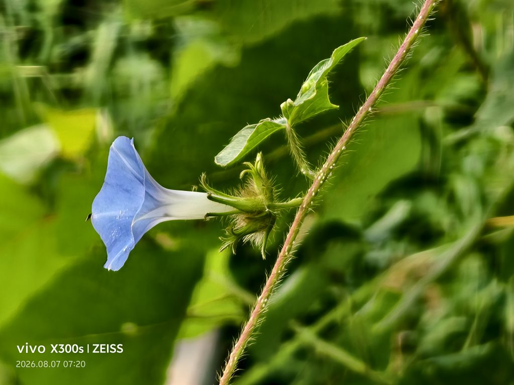 20260807074132front2_0_5867_FkEoPL8o7NsR02Q2FoUNeDQ7JOiV.jpg