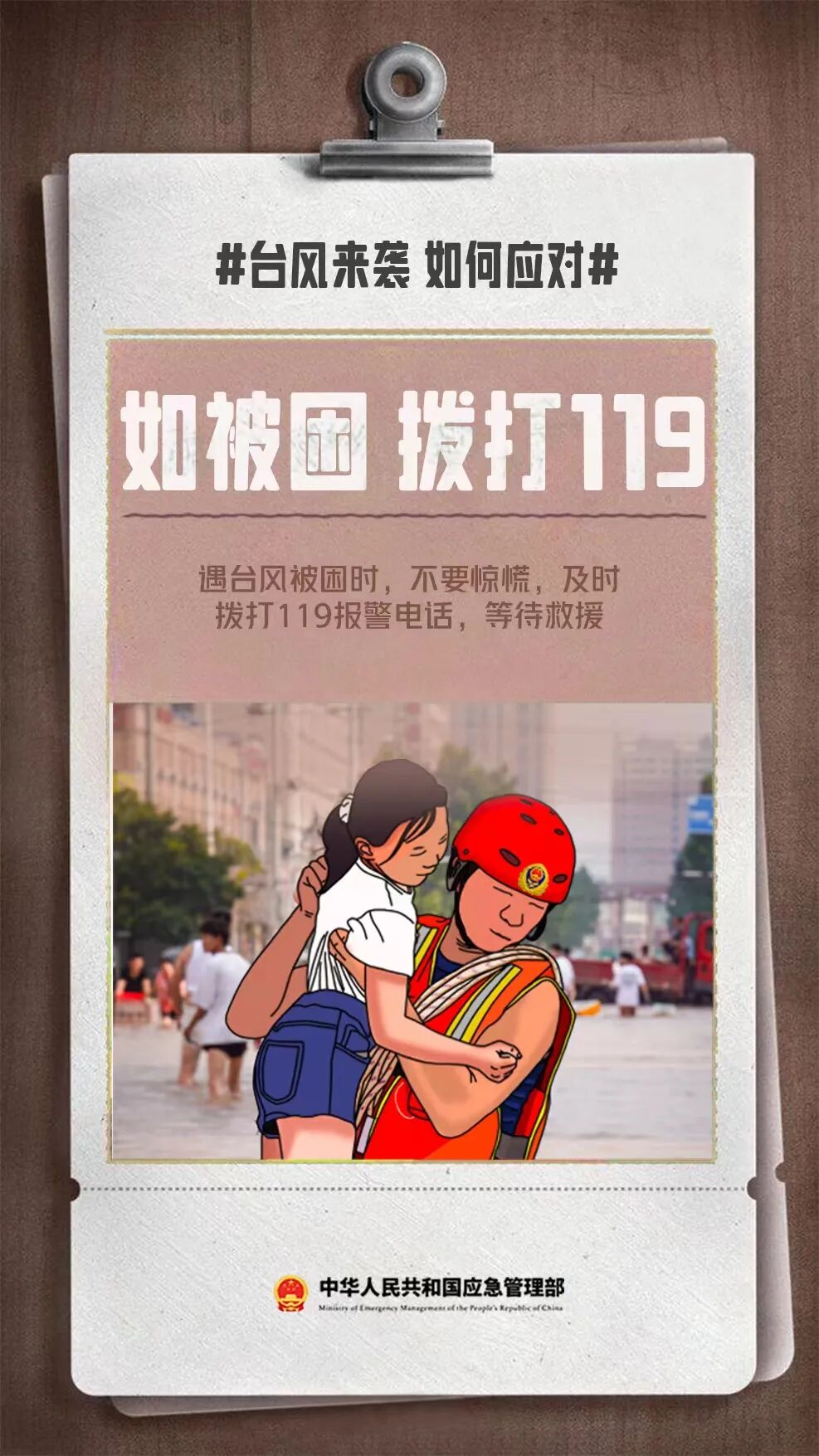 103150tew9c4m51awkm8cl.jpeg