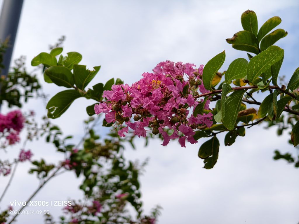 20260820152108front2_0_5867_Fvl5BVlPFRkXXvDCHcV-9X-9smWB.jpg