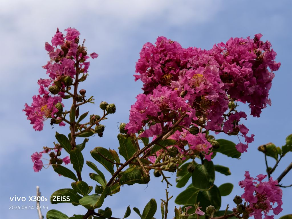 20260820152107front2_0_5867_Fv8Lh-eU6RsGqw0zSr2PDKf7fOrS.jpg