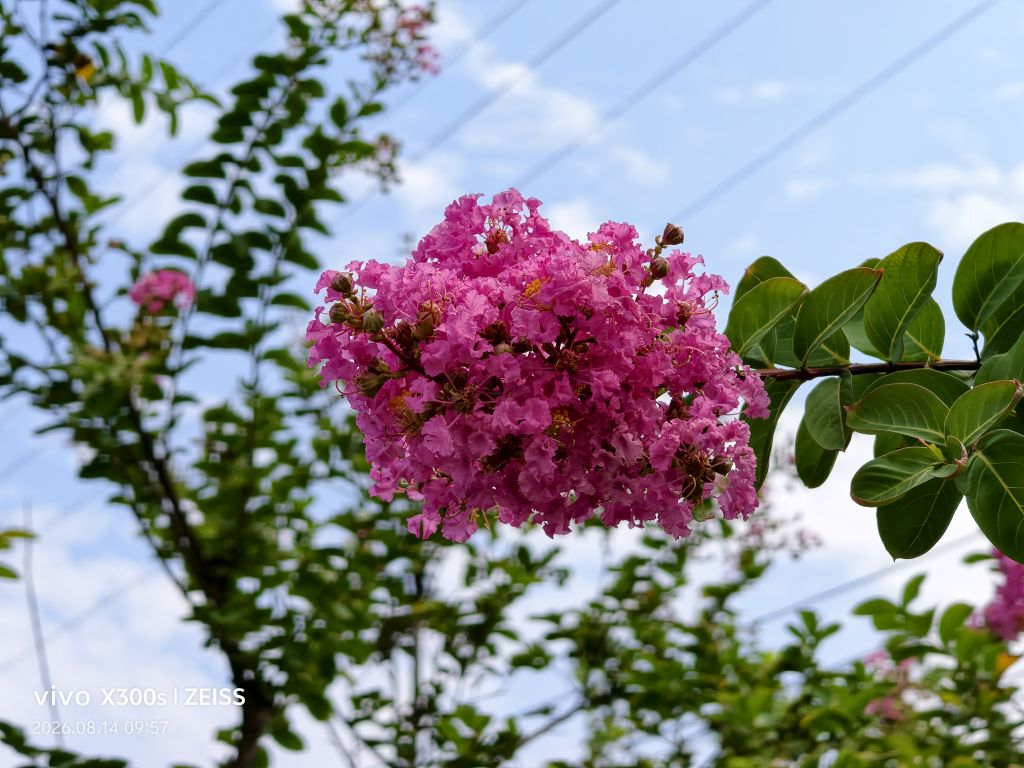 20260820152107front2_0_5867_FnUDWkMDMs31WV79Ug7fd6EOyR0Q.jpg