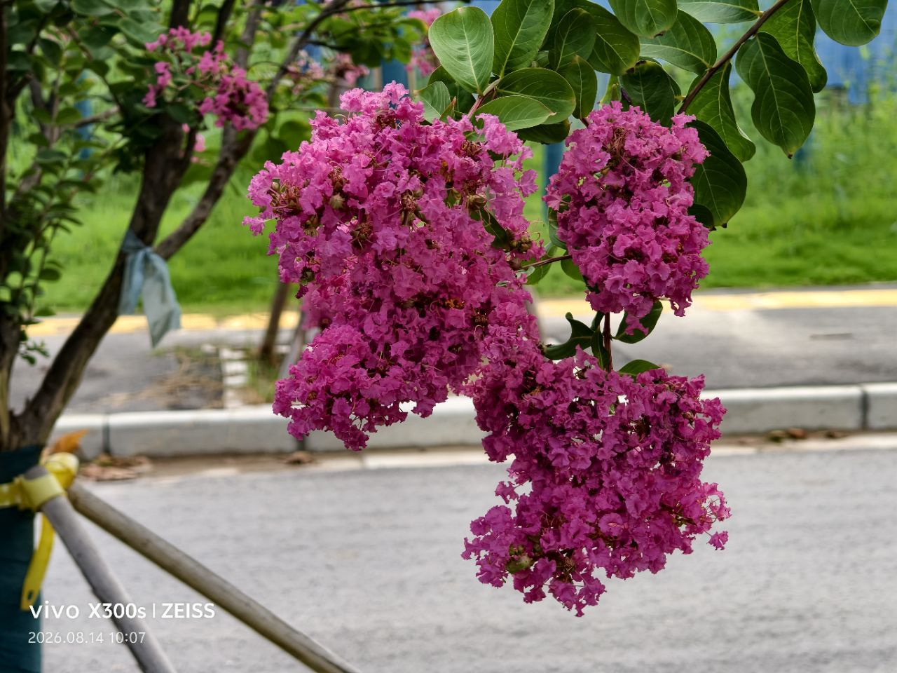20260820152327front2_0_5867_Fgvu9Y8v6DbqMopfK-pjS8ffKdl8.jpg