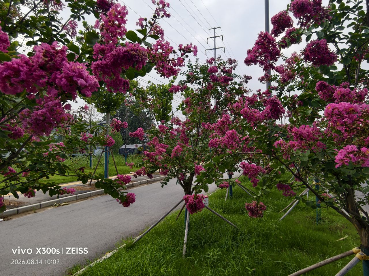 20260820152327front2_0_5867_FrZHZI0o_P3kGufo5IkX2796jsz9.jpg