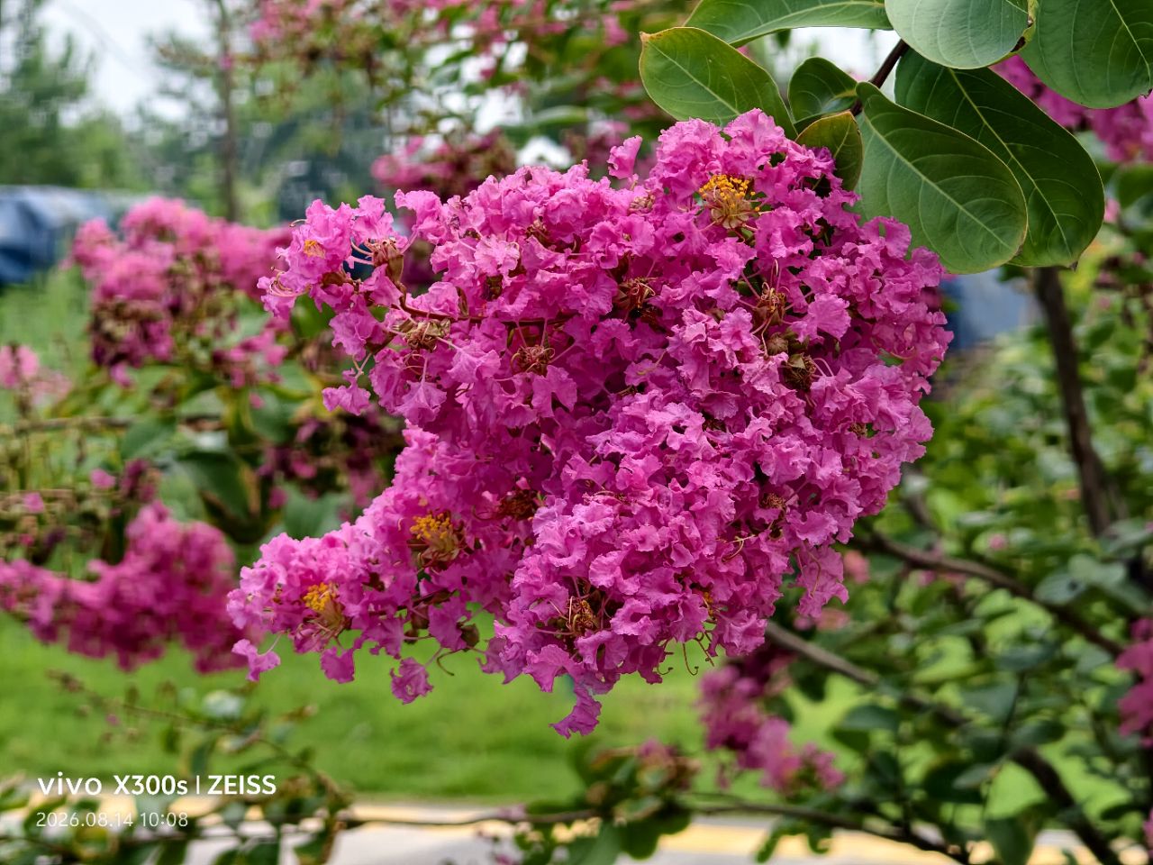 20260820152327front2_0_5867_Fo7wTg4K9u6O4lwfszTWproY617x.jpg