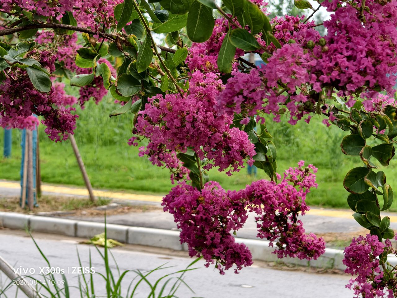 20260820152416front2_0_5867_Fn447IxJAxdn25fKF-BHCvDIgXla.jpg