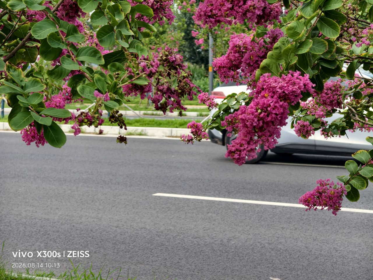 20260820152451front2_0_5867_FuJW3YKVMP6my9nD2UZyJf10TAX_.jpg