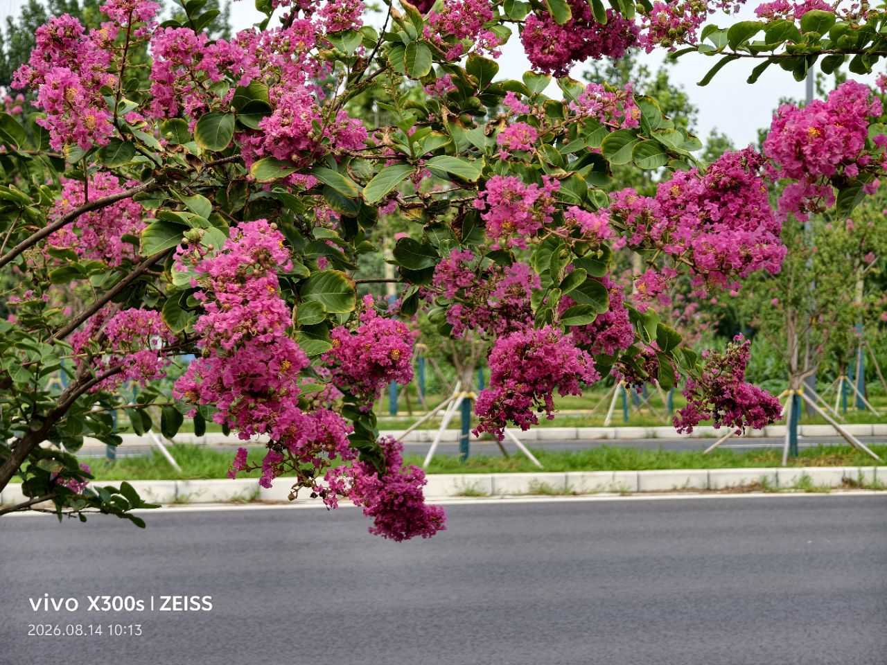 20260820152451front2_0_5867_FgQnVrAd7n4WlmuJ_VMTPepJi2IU.jpg