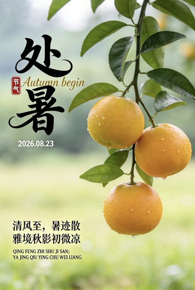 20260823225538front2_0_5867_FjgvTNZP-7kppbYjpn62zAB6Lqnm.jpg